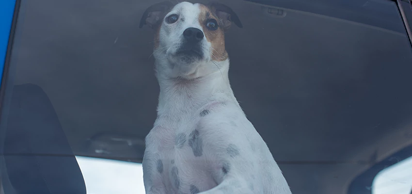 Car Lockout Solutions in Grand Terrace, California